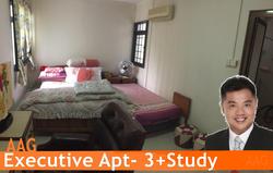 Blk 189A Rivervale Drive (Sengkang), HDB Executive #92448382